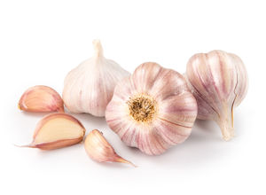 Garlic, bulb