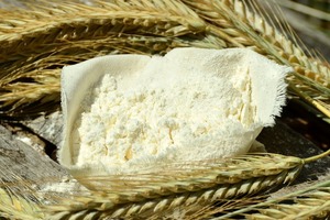 Goxo flour (W 170 - 200)
