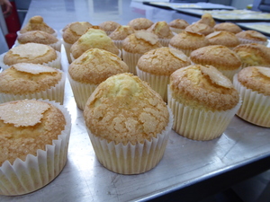 Muffins