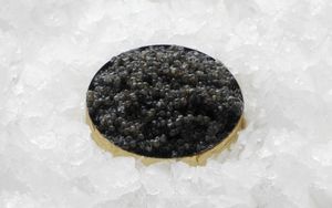 Caviar