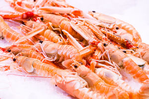 Fresh Norway lobster