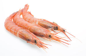 White prawns 