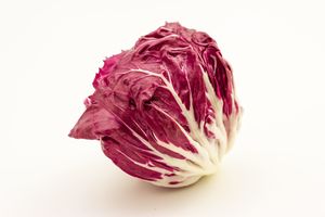 Red chicory
