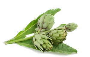 Artichoke