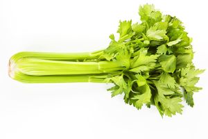 White celery