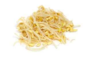 Bean sprouts