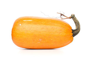 Calabaza