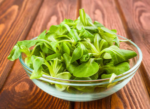 Lambs lettuce