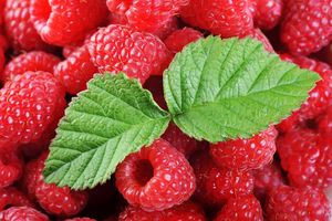 Fresh raspberries, tray