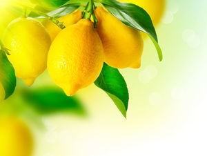 Lemon