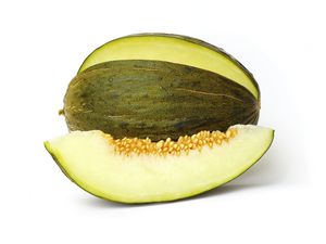 Melón