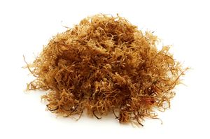 Irish moss