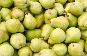 Blanquilla pear