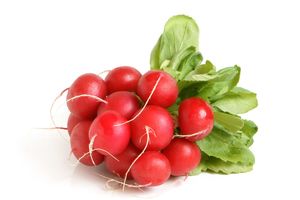 Radish