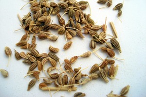 Anise seed