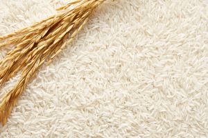 Long grain rice