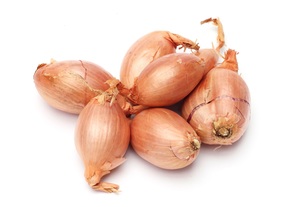 Shallots