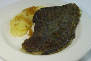 Grilled turbot with golden potato rounds