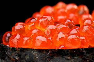 Salmon roe