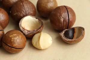 Macadamia