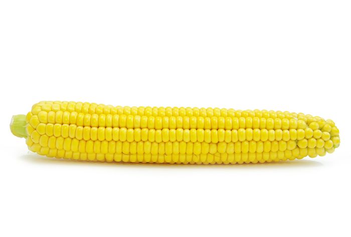 W700 maiz amarillo