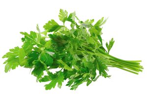 Parsley