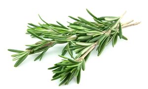 Rosemary