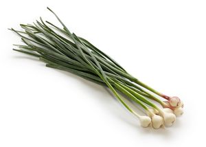 Garlic stalks