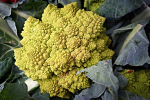 Romanesco broccoli 