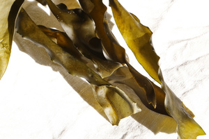 Kombu seaweed