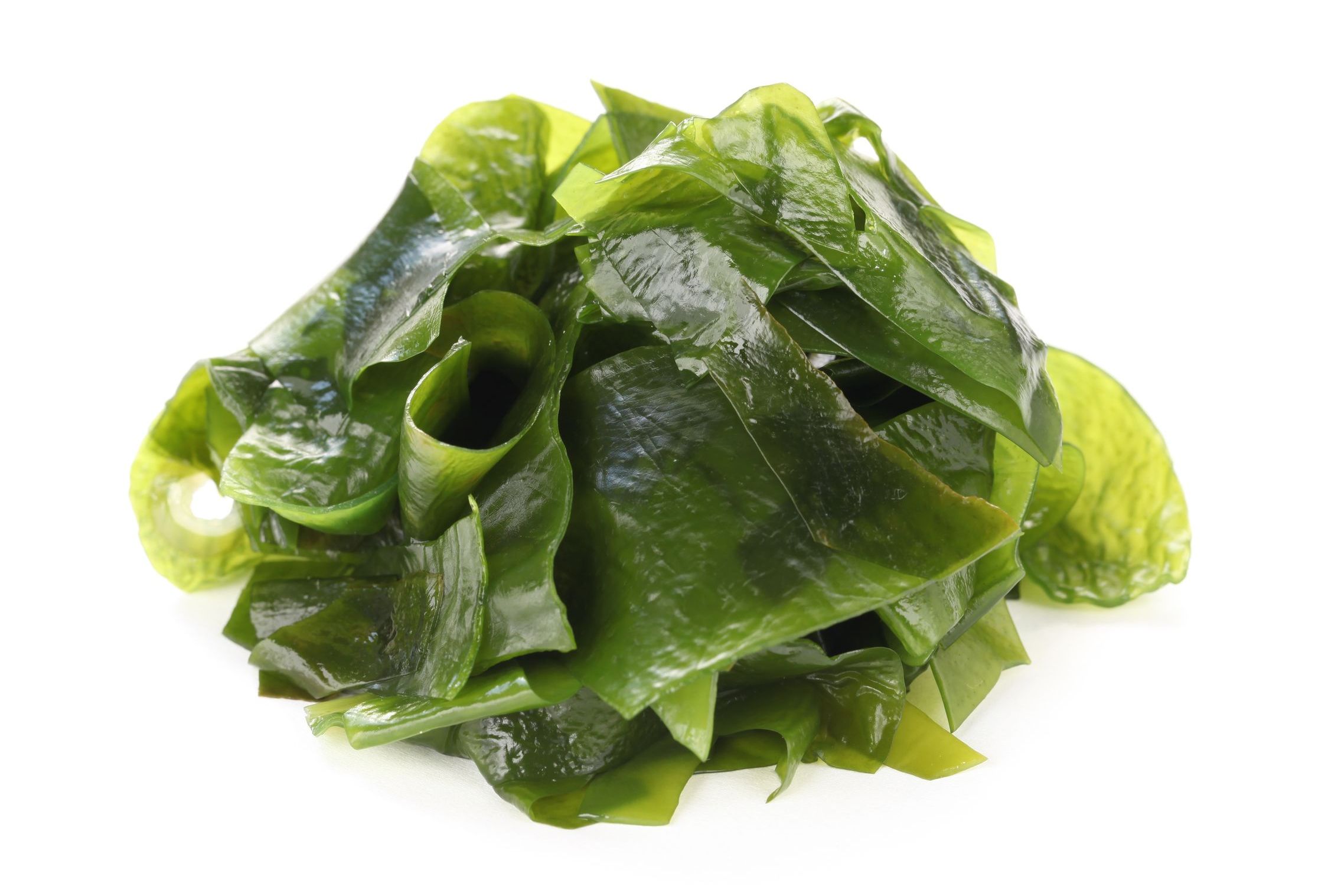 Alga wakame hipotiroidismo Alga wakame hipotiroidismo