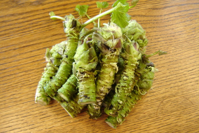 Como transformar letra dona roupa nova  em sucesso