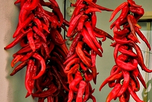 Chorizo pepper