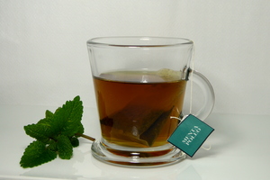 Menta poleo