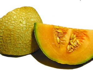 French melon