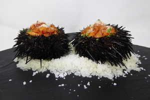 Gratinéed sea urchins