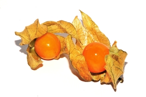 Cape gooseberry