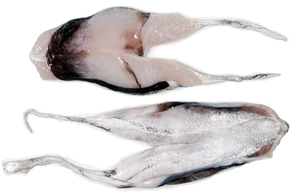 Kokotxas (cheek) of hake