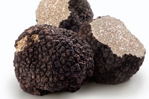 Fresh Black Truffle