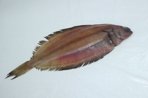 John Dory 