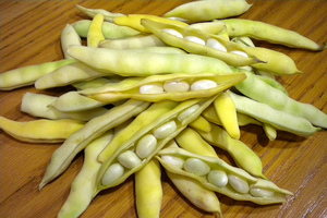 White beans