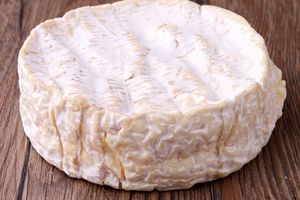 Queso Camembert