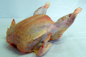 Hen