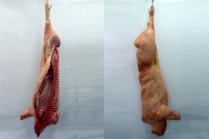 Pig carcass, half