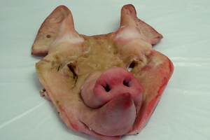 Boneless cheek of pork