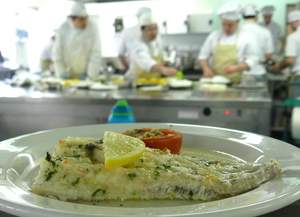 Braised hake with provence style tomatoes