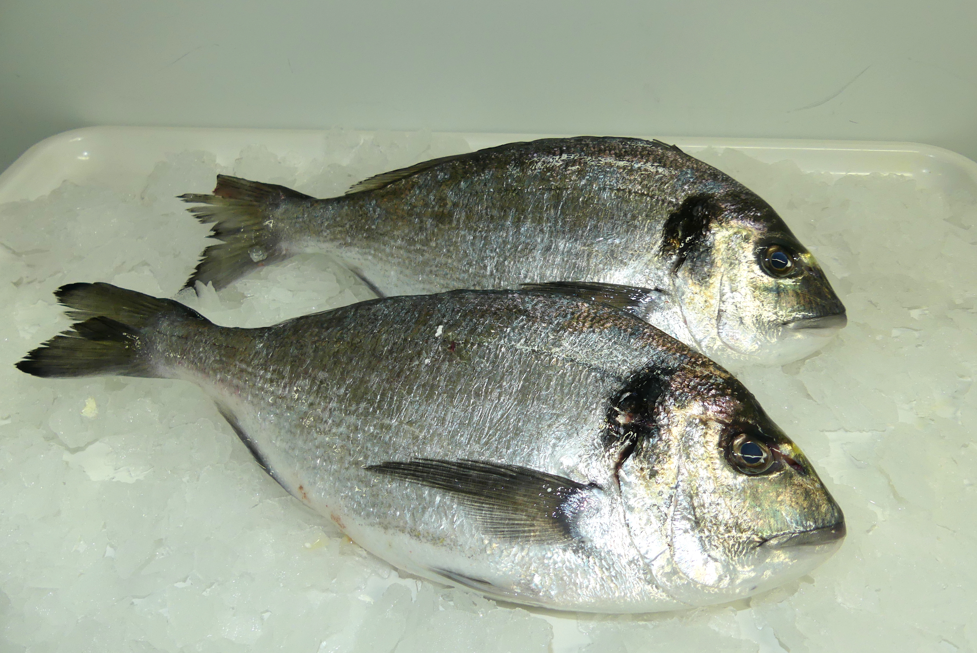 Gilt Head Bream Gastronomia Vasca Escuela De Hosteleria Leioa
