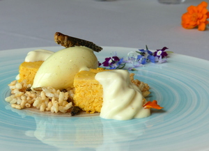 carrot cake with insects, foam and coconut-curry ice cream